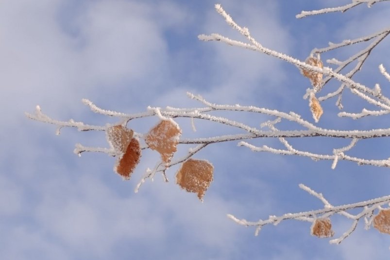 Лучшие фотографии из соцсетей Евгения Вайзерова