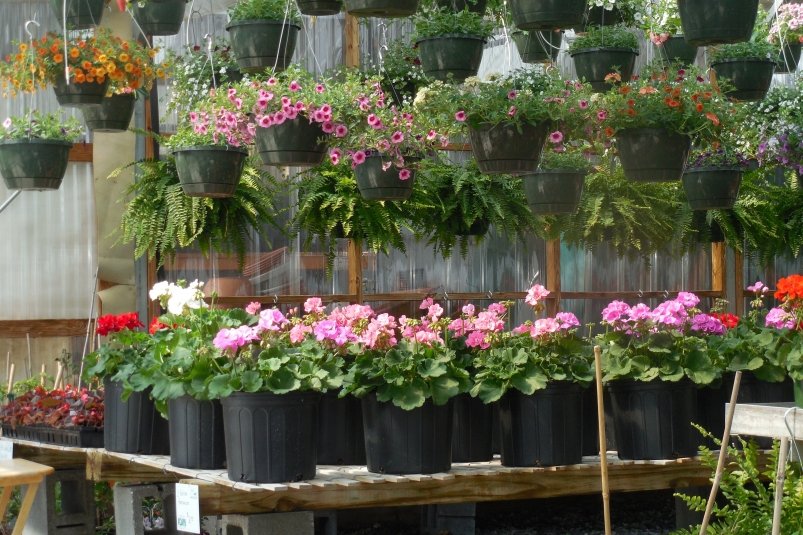 Тематическое фото pxhere.com (18+)