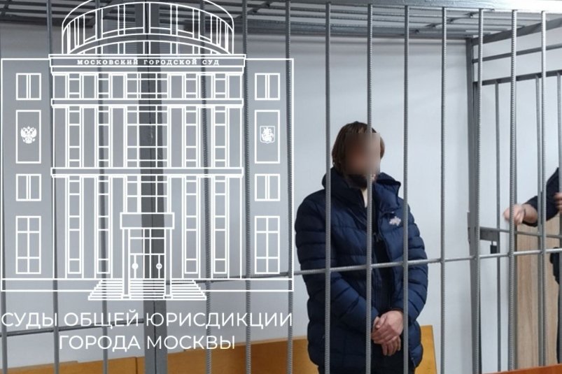 Заседание суда по делу Telegram-канал судов общей юрисдикции Москвы