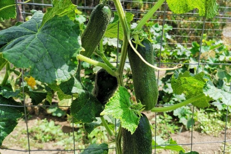 Тематическое фото unsplash