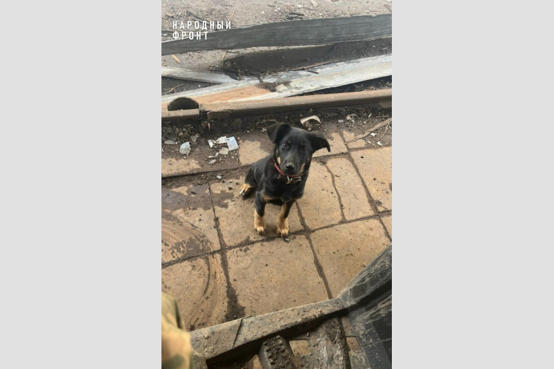 Джилл воодушевляет бойцов Народный Фронт Крыма