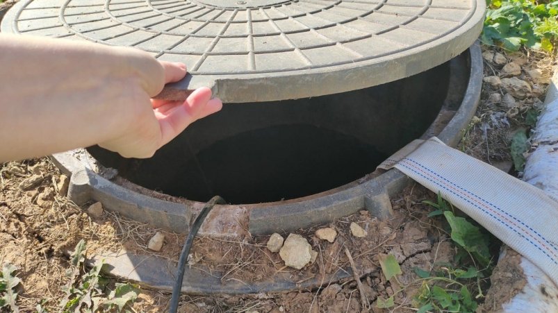 Фото автора автора