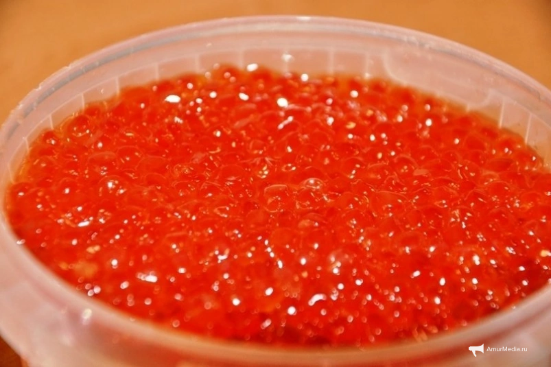 Тематическое фото ИА PrimaMedia