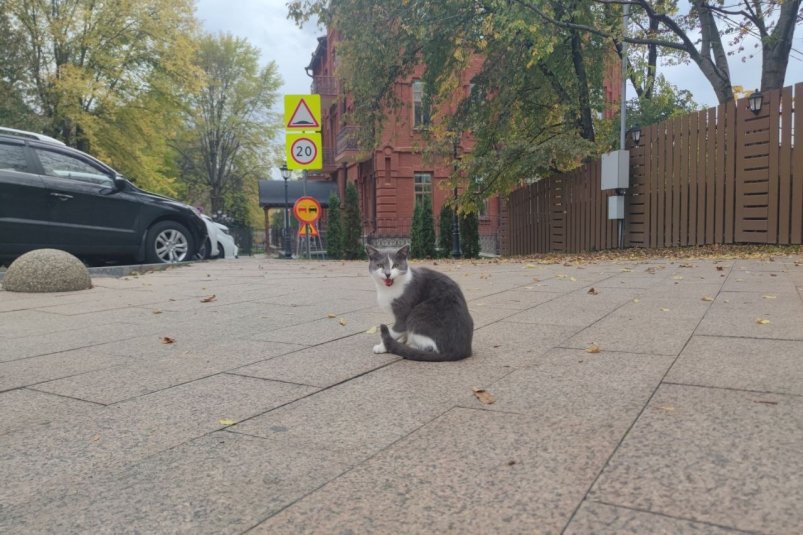 Улицы Кисловодска ИА Stavropol.Media