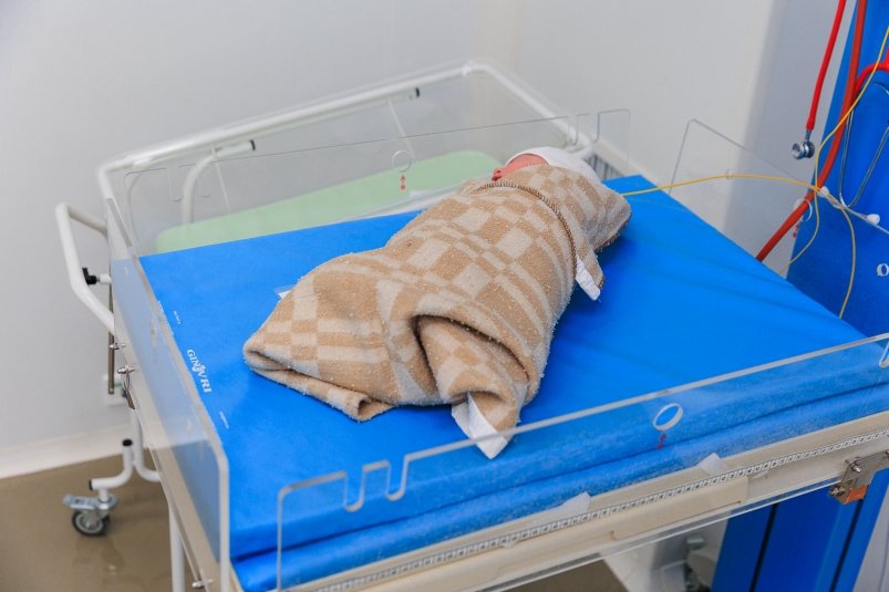 Тематическая фотография Евгений  Кулешов, ИА PrimaMedia