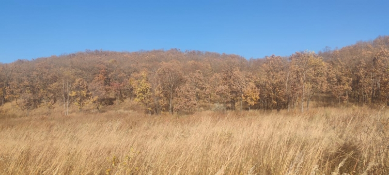 Суд на Кубани поставил точку в споре о землях агрофирмы и вернул их государству Марина  Померанцева