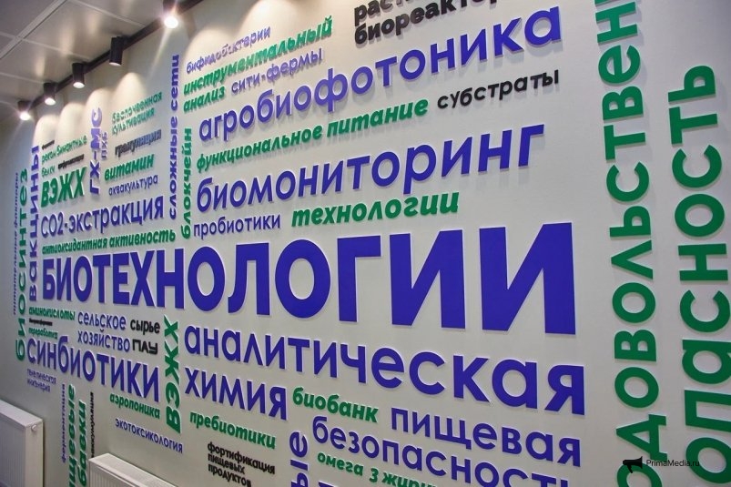 Тематическое фото ИА PrimaMedia