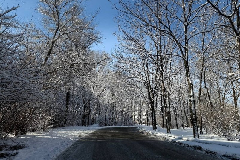 Тематическое фото ИА PrimaMedia