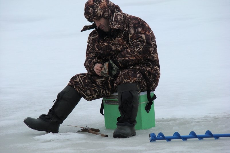 На тесто точно не клюнет: лучшие наживки для рыбалки в декабре - ТОП-7 pxhere.com