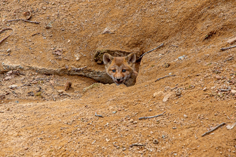 Тематическое фото Мария Смитюк, ИА PrimaMedia