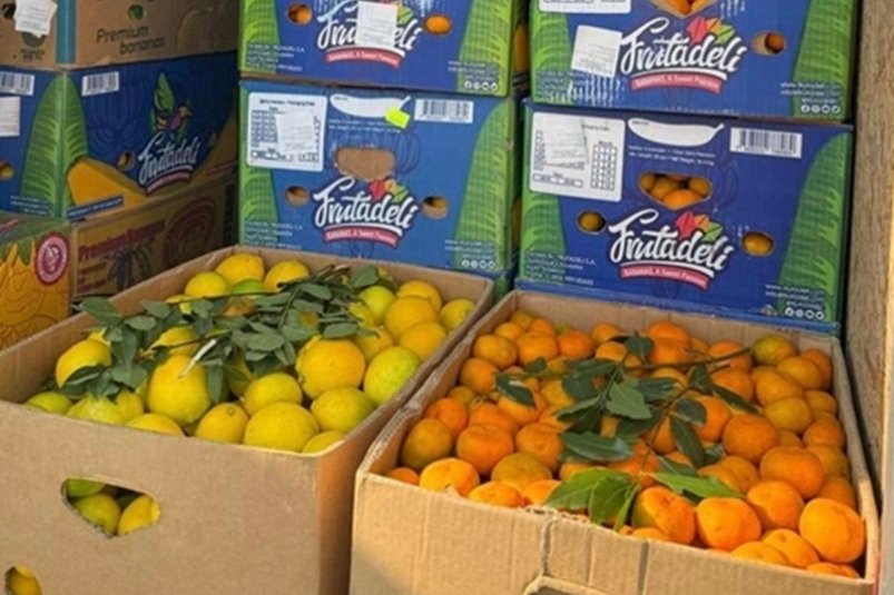 12 тонн зараженных клопами мандаринов вернули из Сочи в Абхазию rsn_yug/t.me