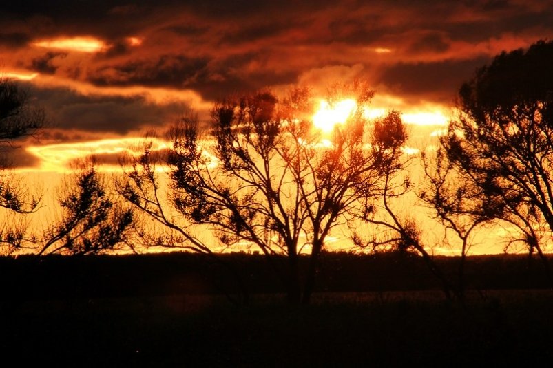 Число вспышек на Солнце в ближайшие сутки будет расти Антон Балашов