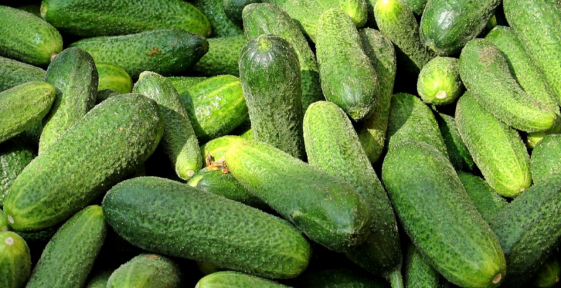 Не овощи, а балконное чудо: посадите после 1 декабря - и к Новому году увидите богатырские огурчики pixhere (18+)