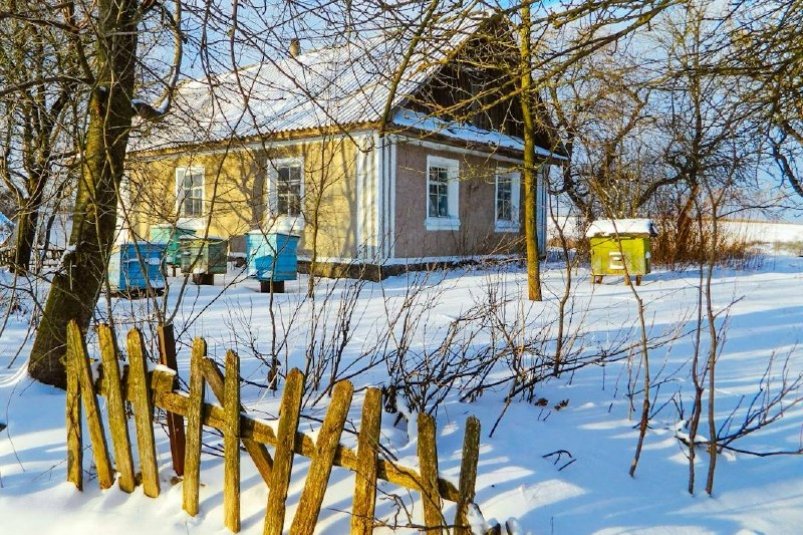 Тематическое фото unsplash.com