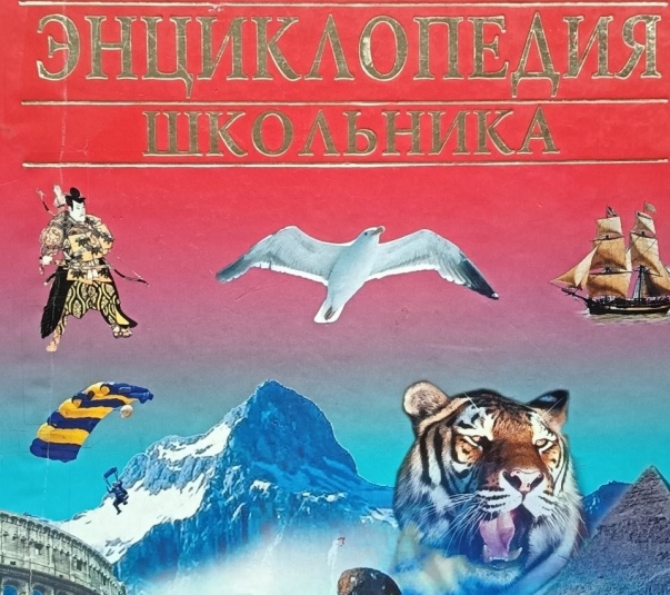 Ходячая энциклопедия — ваше прозвище с детства, если ответите 7/7 — ТЕСТ на эрудицию ИА StavropolMedia