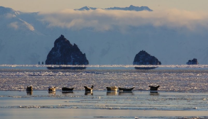 Лучшие фото Магадана Александр Шафранов