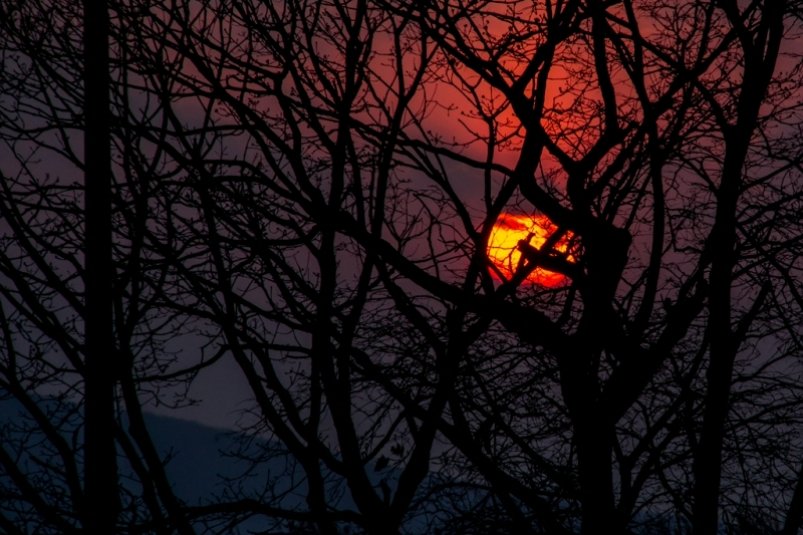Пожар на заводе и ферме - ПВО отразила масштабную атаку дронов на Кубань Антон Балашов