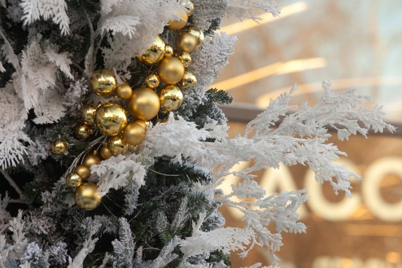 Призовой фонд конкурса за лучшее новогоднее оформление в Геленджике удвоили Юлия Матреницкая