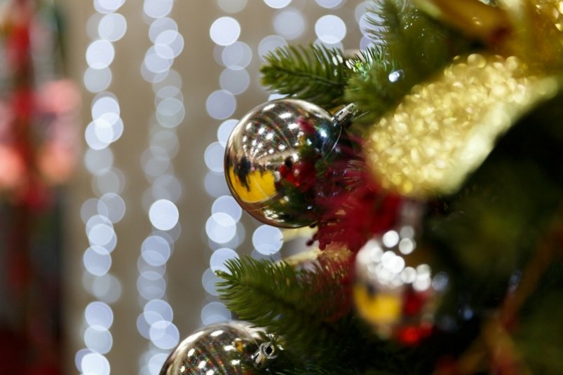 Где дешевле отдохнуть в Новый год - в Сочи или Абхазии Жанна Беляева