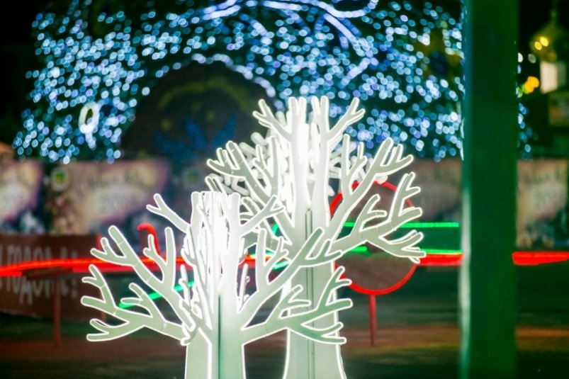 Сочи или Абхазия - где выгоднее по цене встретить Новый год Александр Ратников