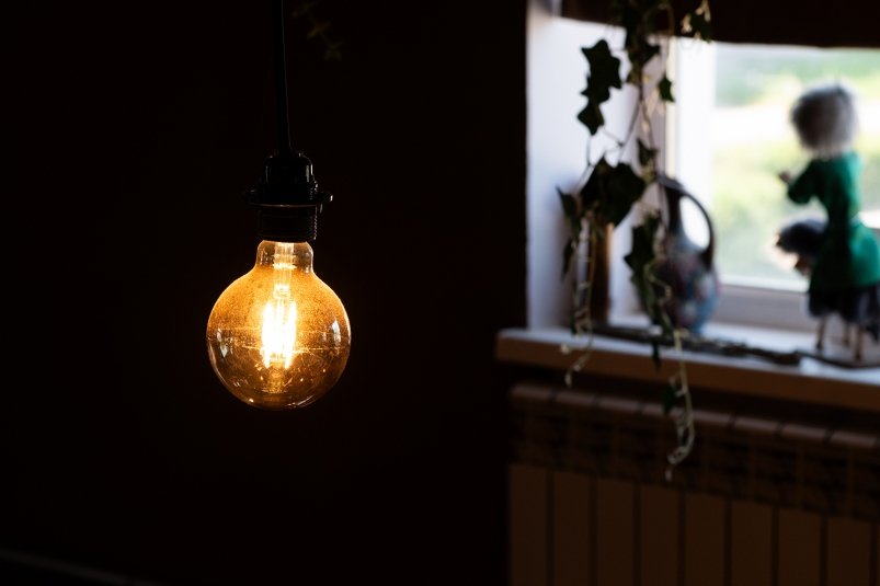 Свет Евдокия Сорокина, ИА AmurMedia