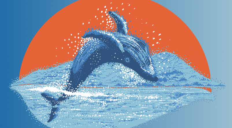 Церемония награждения победителей конкурса "Мой Дальний" пройдёт 30 ноября предоставлено организаторами