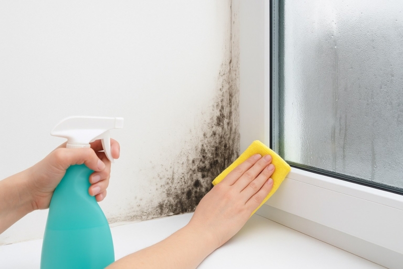 Тематическое фото сгенерировано ИИ Qwenlm.ai (18+)