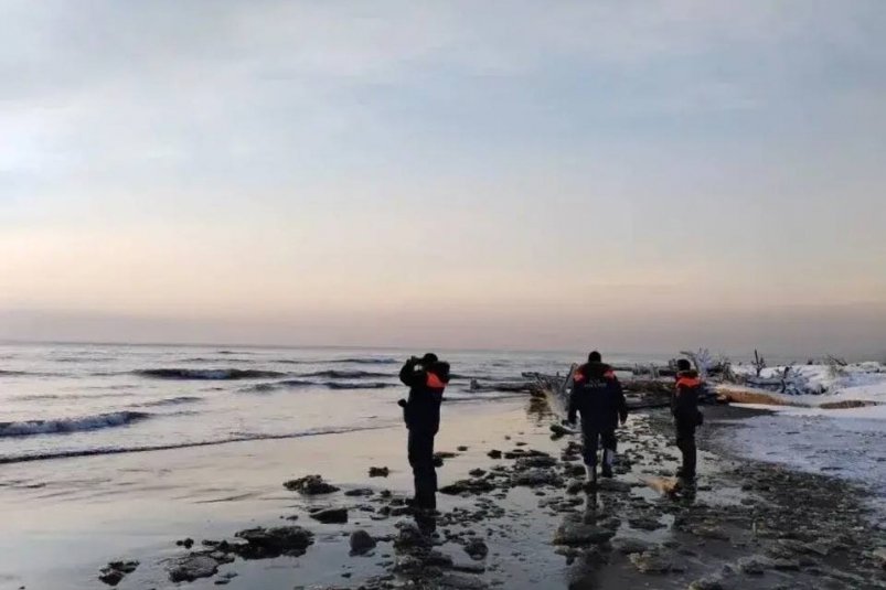 На Сахалине ищут двух рыбаков, пропавших в акватории залива Терпения пресс-служба МЧС России по Сахалинской области