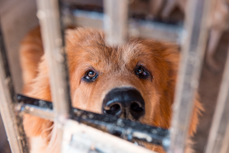 Тематическое фото ИА PrimaMedia