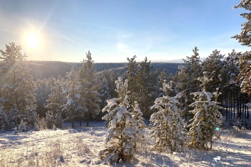 Гороскоп на 1 декабря: Близнецы ограничивают контакты, Козерог в центре внимания ИА YakutiaMedia