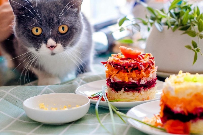 Тематическое фото unsplash