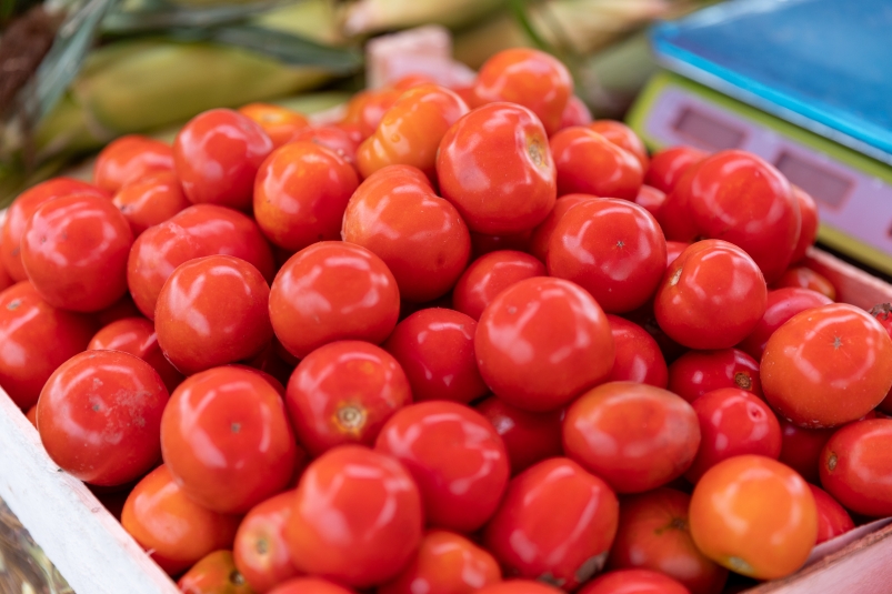 Сажаю семена этого томата и не нарадуюсь: помидоры вкусные, сочные - и урожай - "пушка" Илья Аверьянов, ИА PrimaMedia