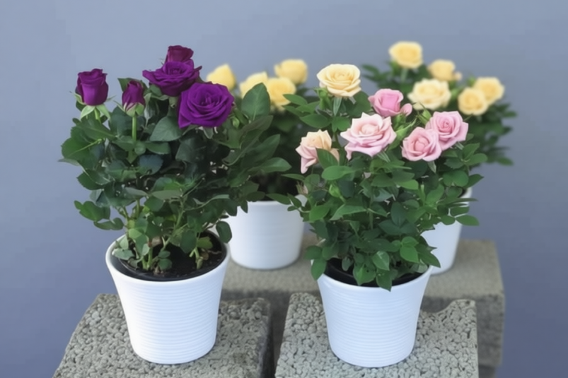 Тематическое фото Изображение сгенерировано ИИ Qwenlm.a (18+).