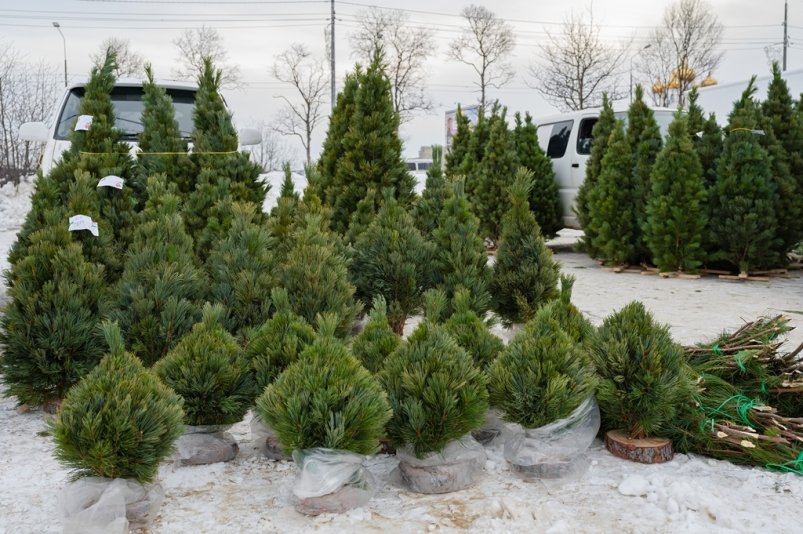 Тематическое фото Мэрия Магадана