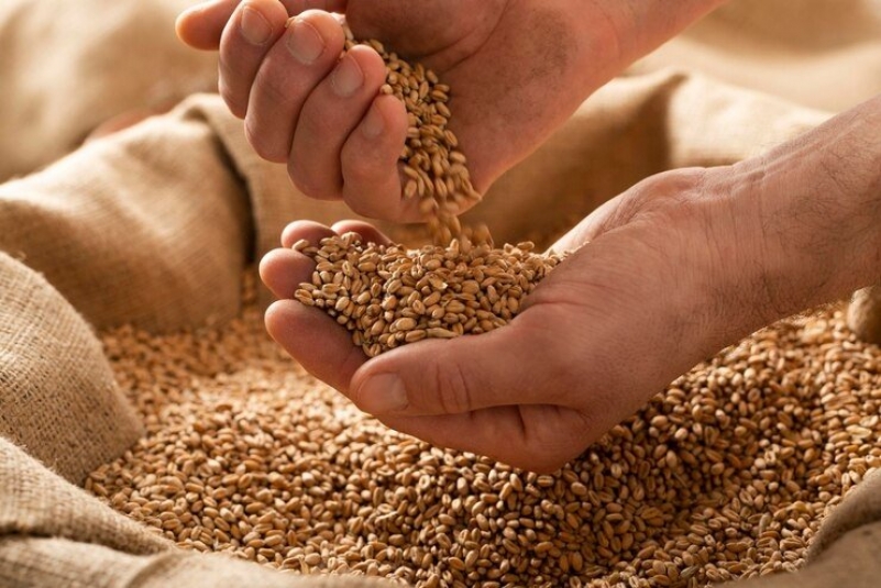 Тематическое фото Россельхознадзор