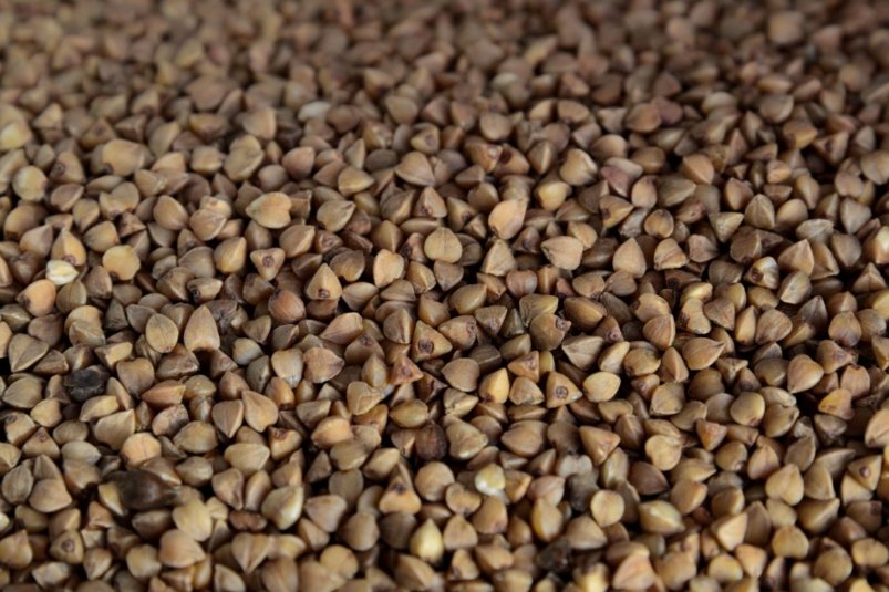 Тематическое фото pxhere.com