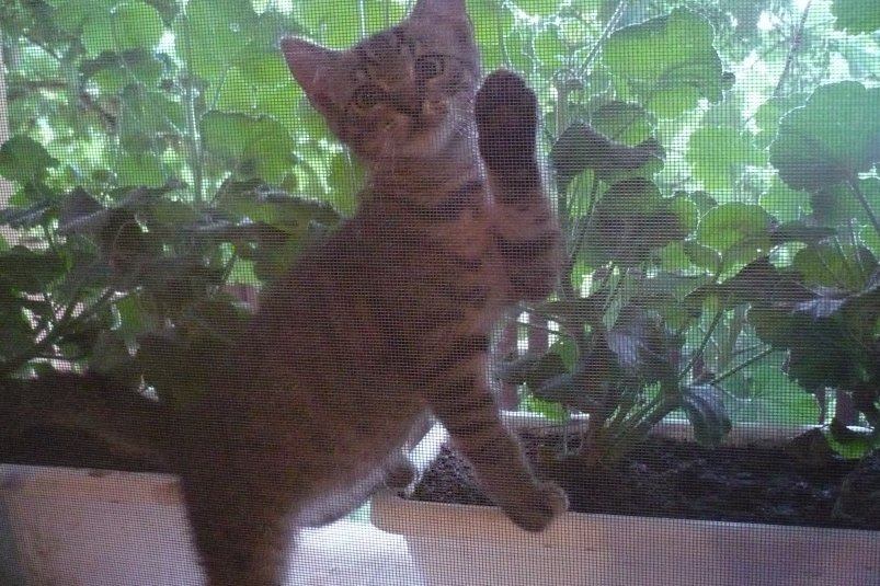 Тематическое фото pxhere.com (18+)