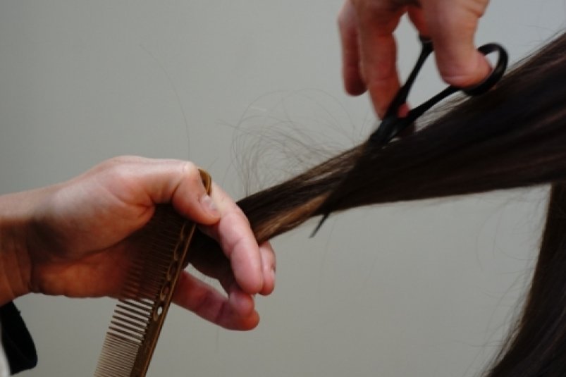 Тематическое фото https://pxhere.com/ru