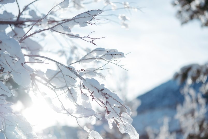 Тематическое фото unsplash.com