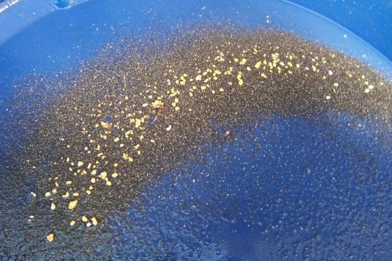 37-летний работник артели похитил драгметаллы на 500 тысяч рублей прокуратура Амурской области