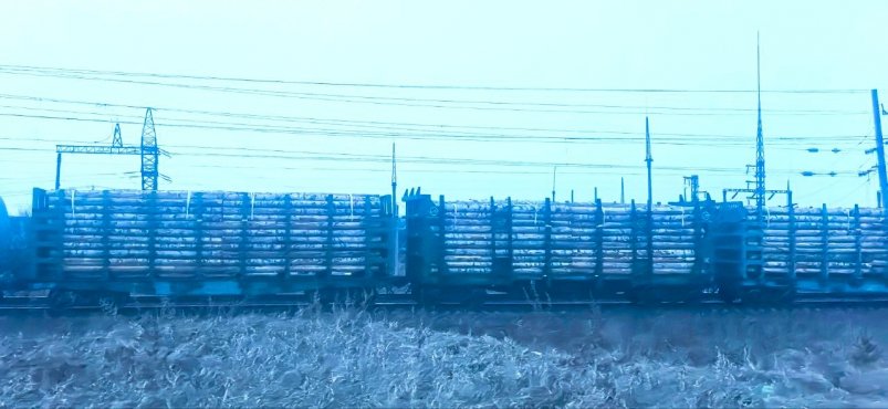 В Иркутске в суд направлено дело о контрабанде леса на 385 млн рублей Пресс-служба Восточно-Сибирского ЛУ МВД России на транспорте