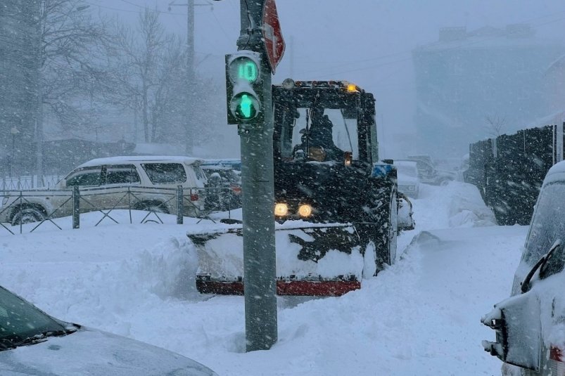 Тематическое фото ИА SakhalinMedia