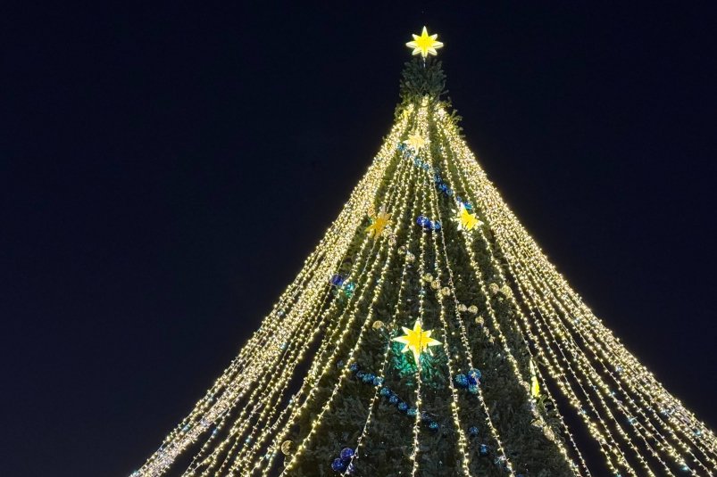 Тематическое фото Ева Сорокина, ИА AmurMedia