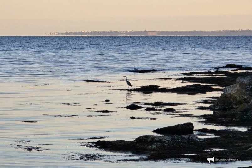 Тематическое фото Алексей Парамонов, ИА SevastopolMedia