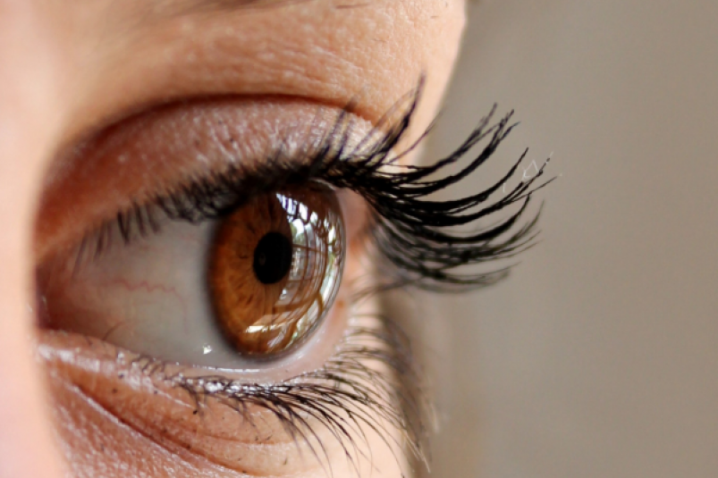 Тематическое фото pxhere.com