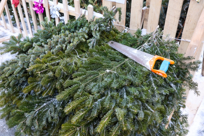 Тематическое фото Илья Аверьянов, ИА PrimaMedia