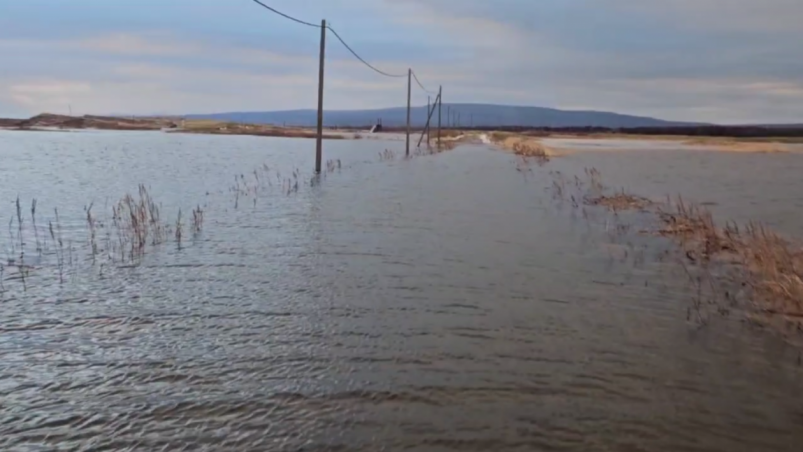 Дорога в Рейдово скриншот видео / Альбина Родионова / "Красный маяк"