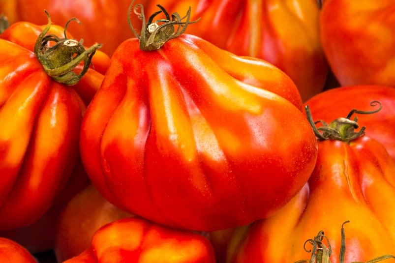 Тематическое фото pxhere.com (18+)