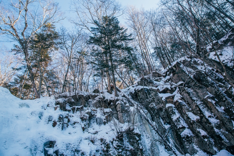 Гороскоп на 3 декабря: Дева получает ценную информацию, Весы не дают в долг Мария Смитюк, ИА PrimaMedia