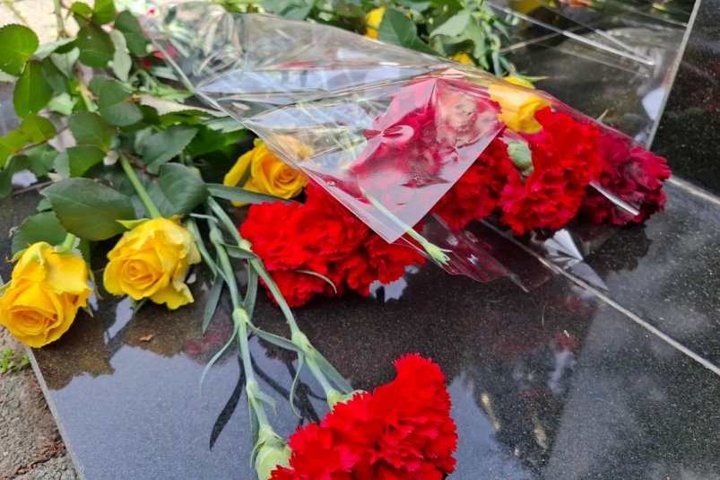 Тематическое фото Соцсети губернатора Севастополя Михаила Развожаева